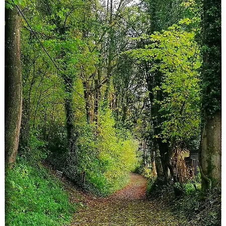& Moi Bed & Breakfast La Gleize